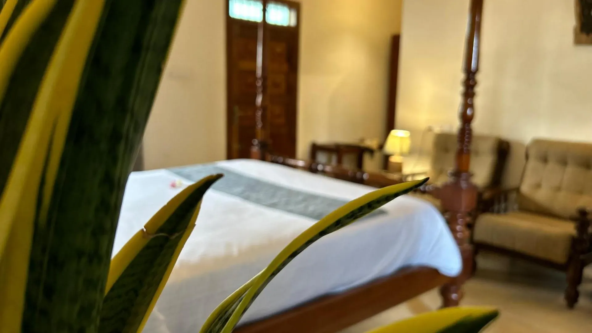 Santa Maria - A Premium Boutique Homestay By The Sea I Trivandrum Airport 1Mile Thiruvananthapuram India